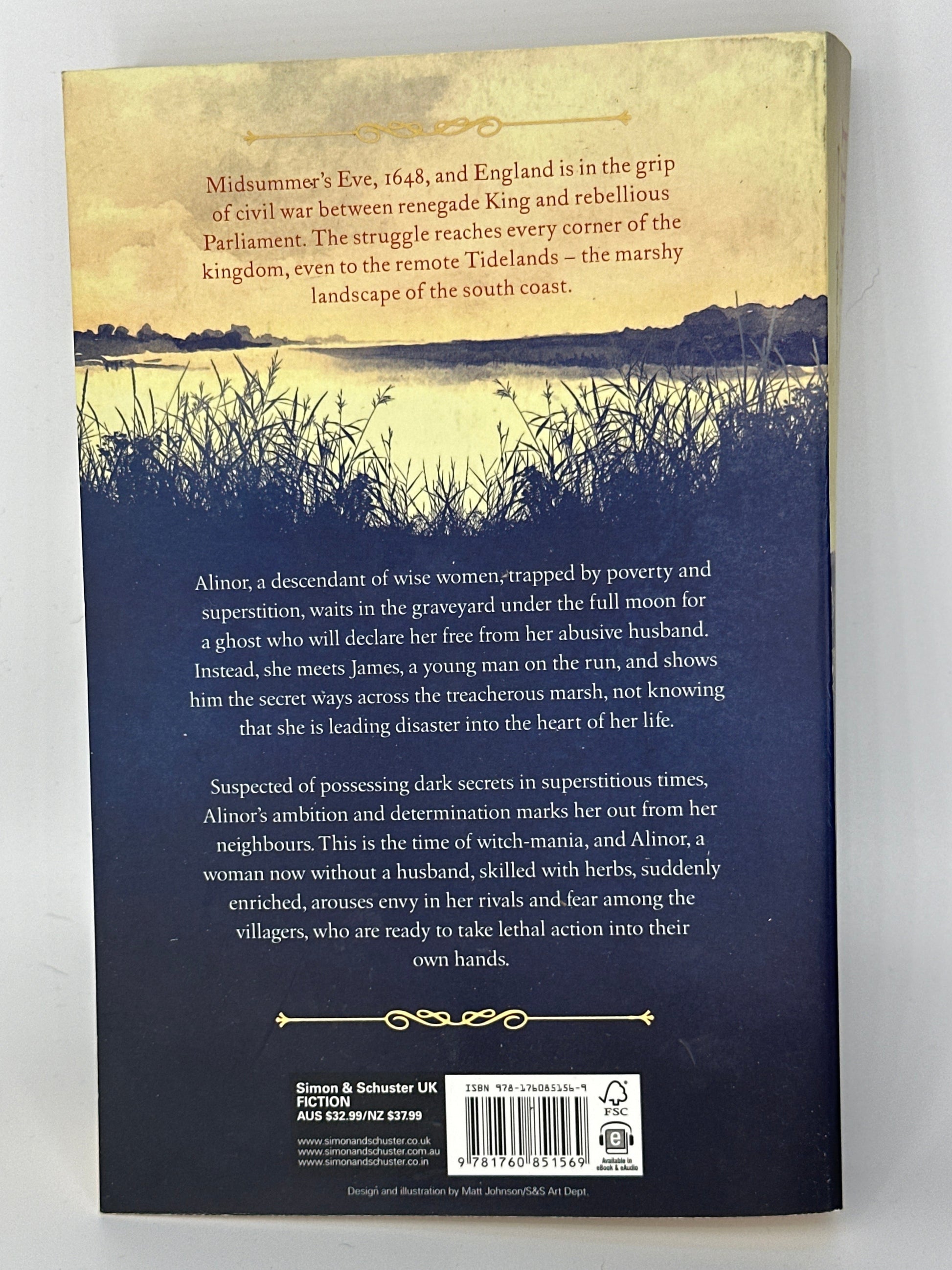 Phillippa Gregory Tidelands actual back cover used books