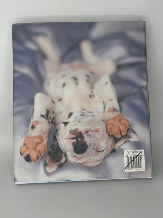 Rachael Hale A Dog's Life 101 Adorable Breeds back cover used books