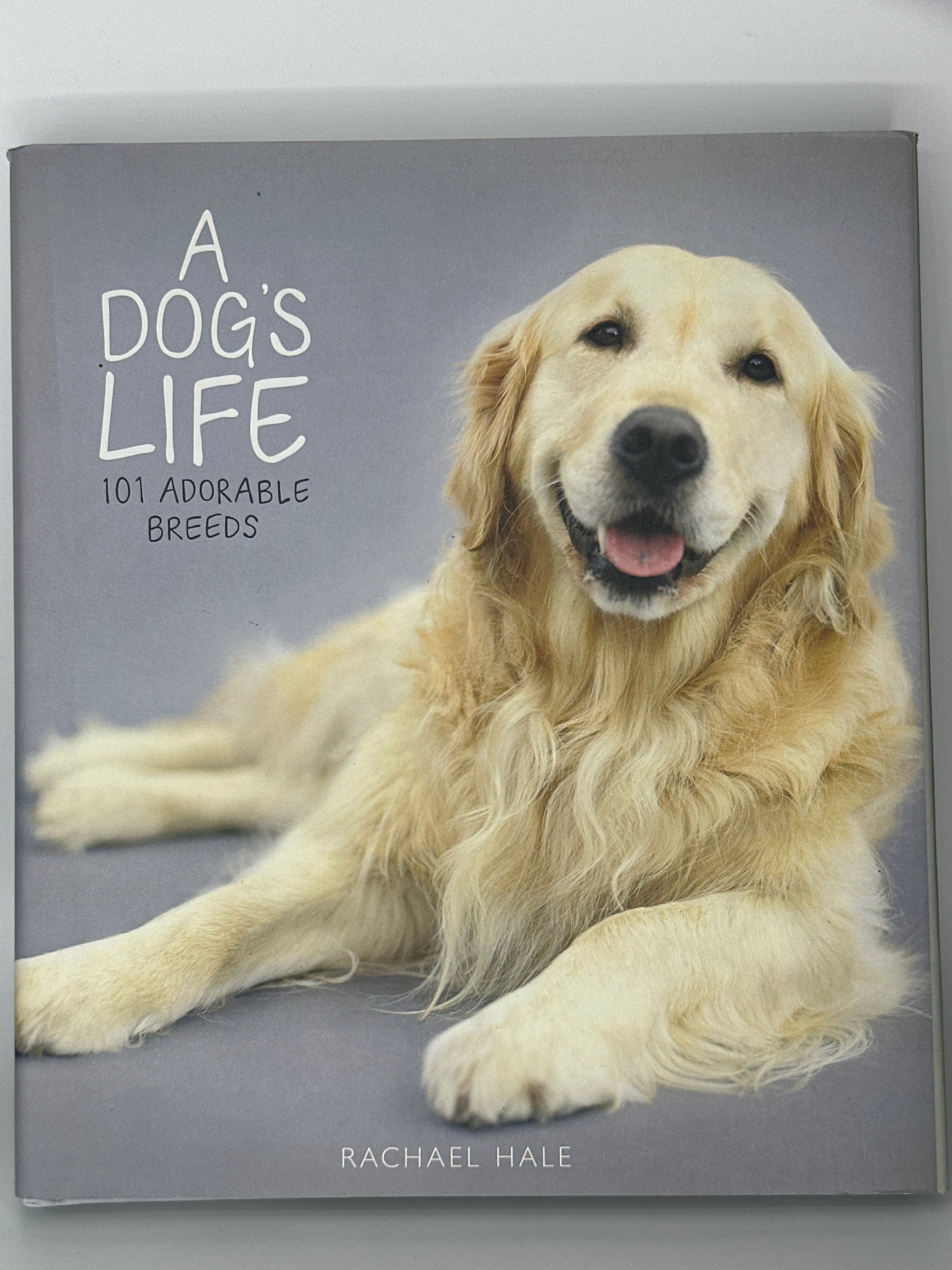 Dog Breed Golden Retriever Dog 101 Dog Breeding 101 Beginner's