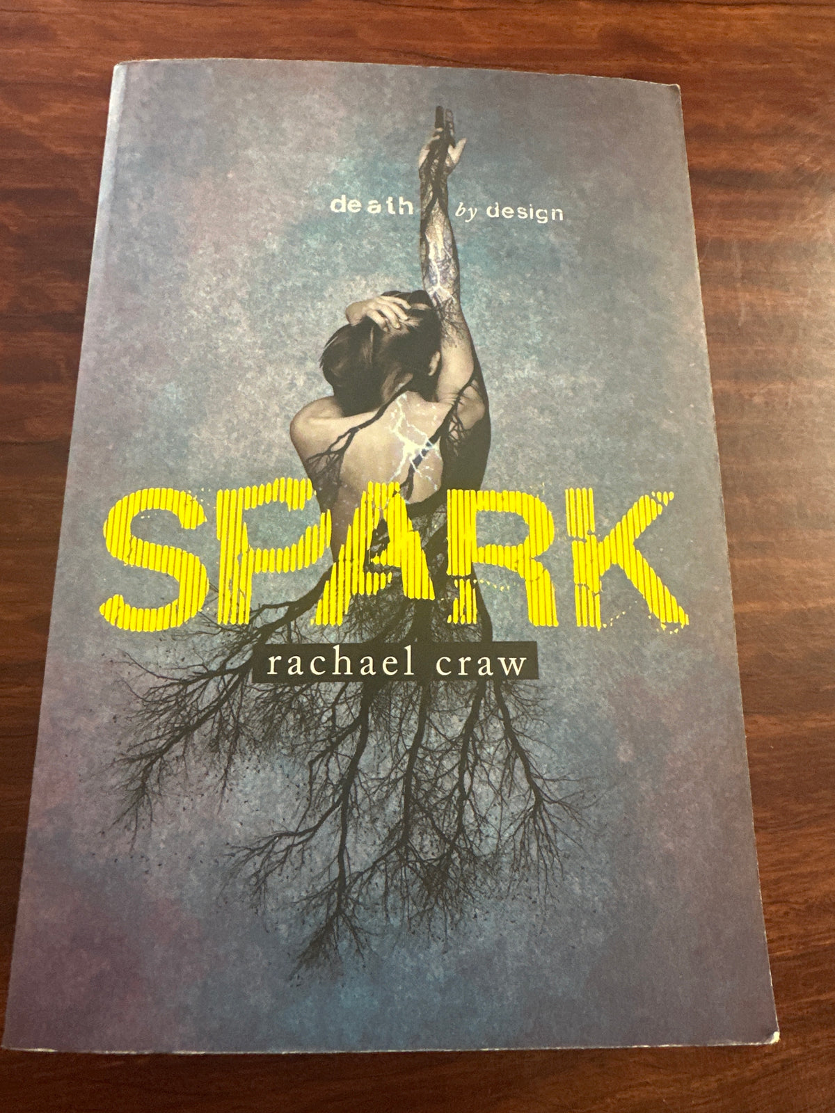 Book titled 'Spark' by Rachael Craw on a wooden surface