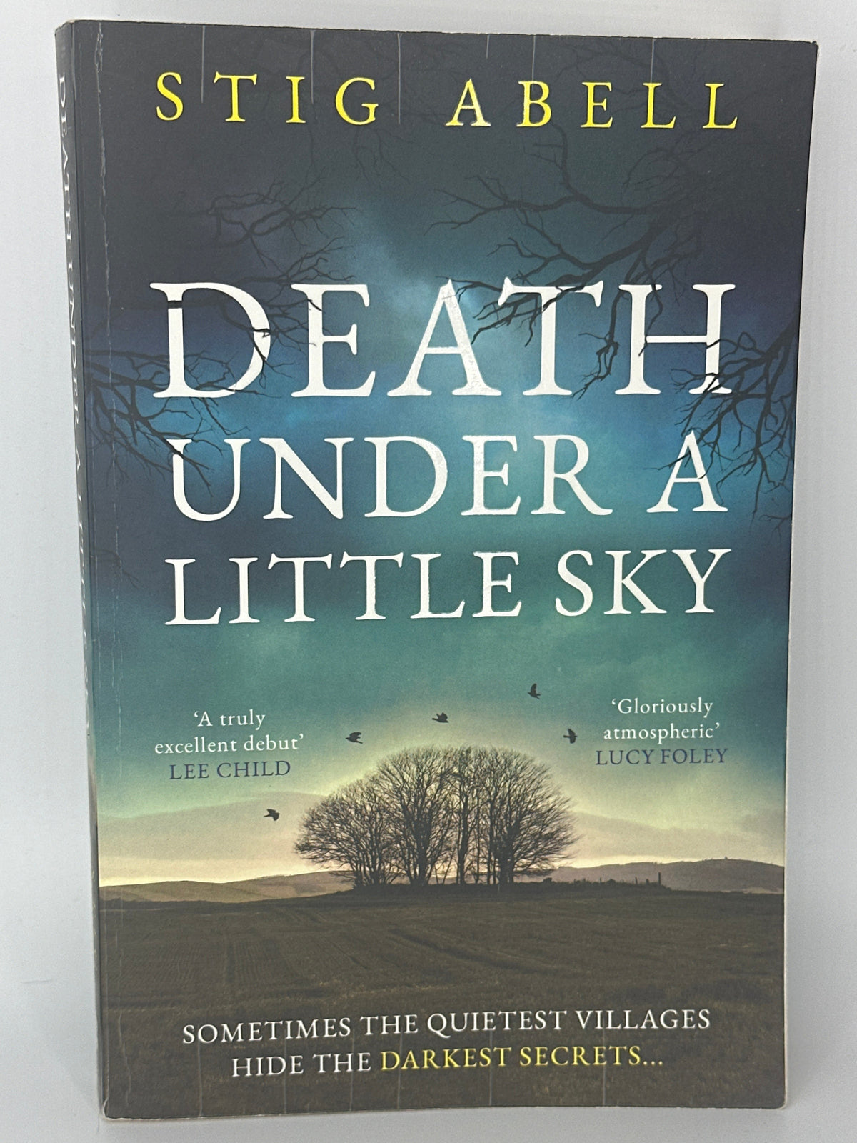 Stig Abell Death Under a Little Sky actual front cover used books