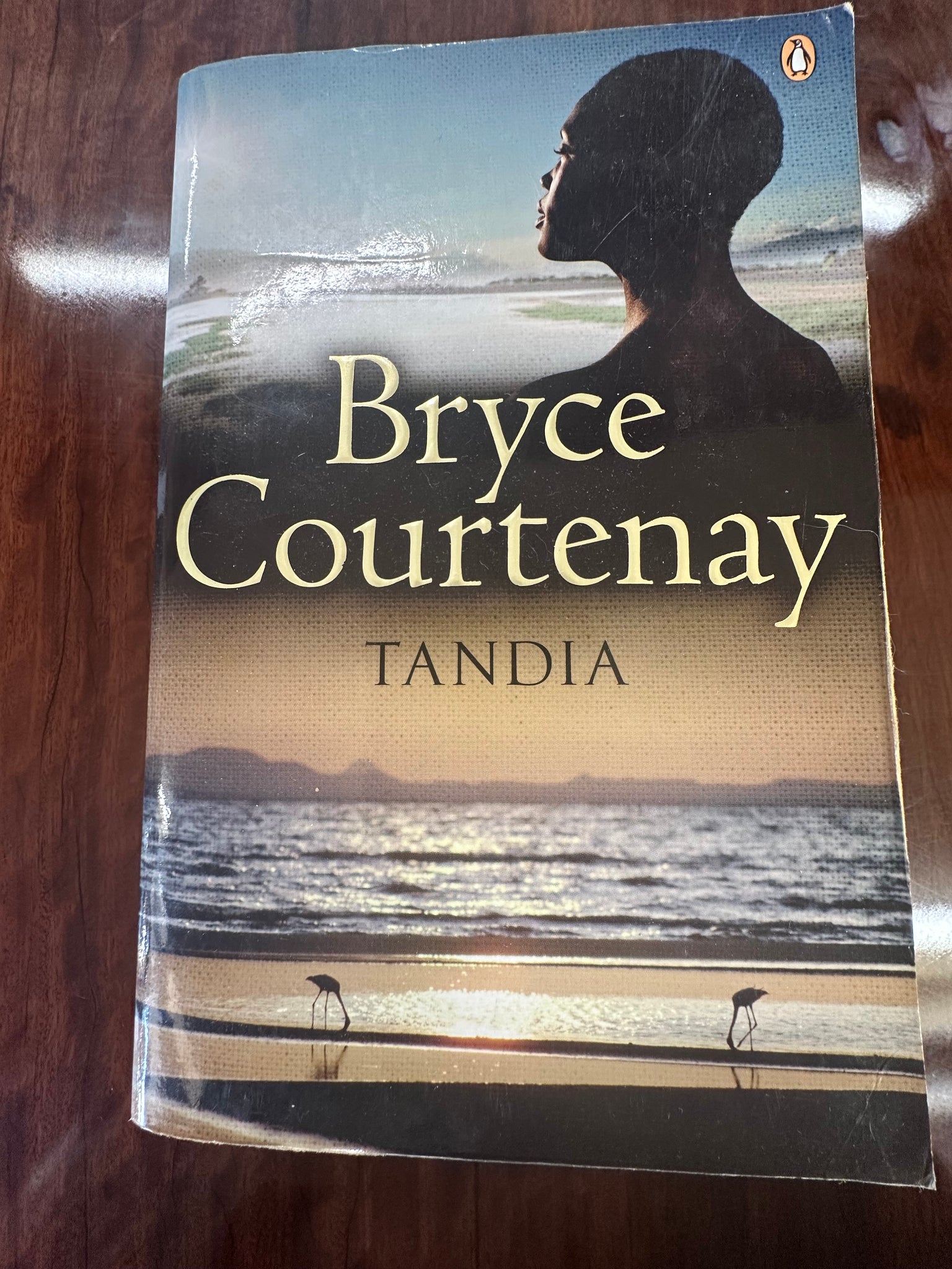 Bryce Courtney Tandia Cover