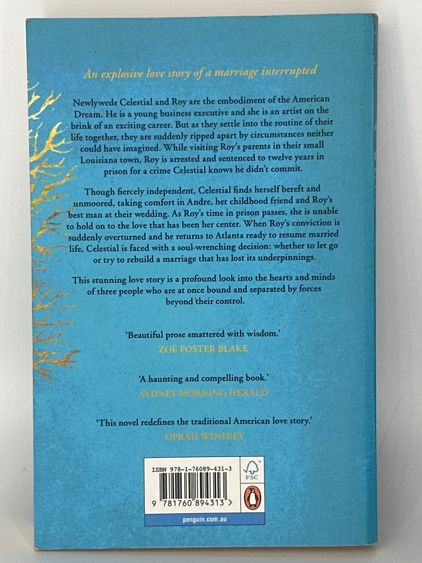 Tayari Jones - An American Marriage actual back cover used books