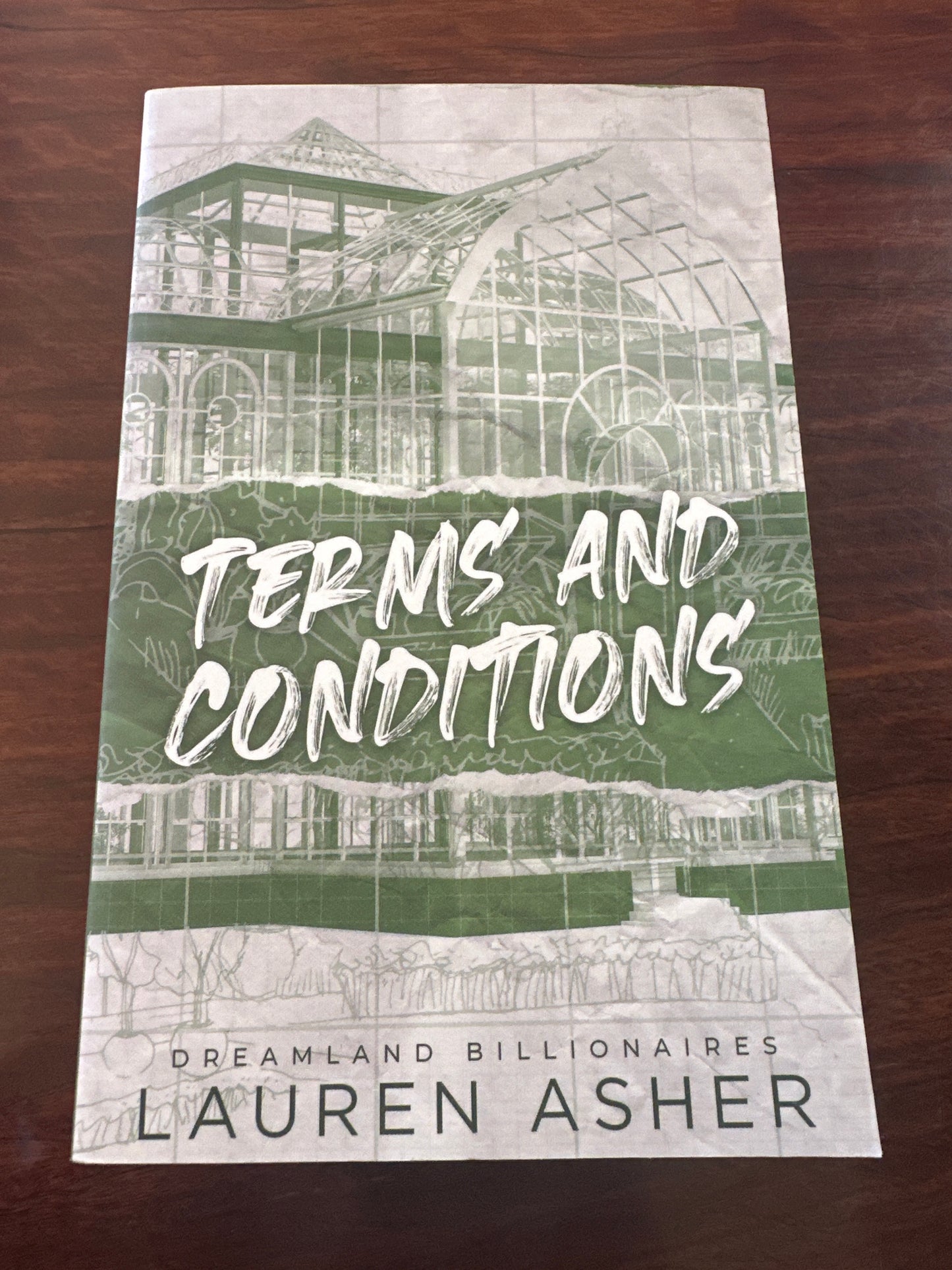 Lauren Asher Terms & Conditions front cover