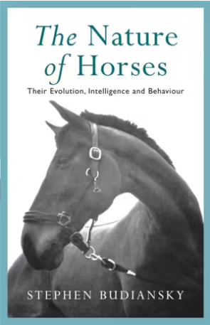 The Nature Of Horses