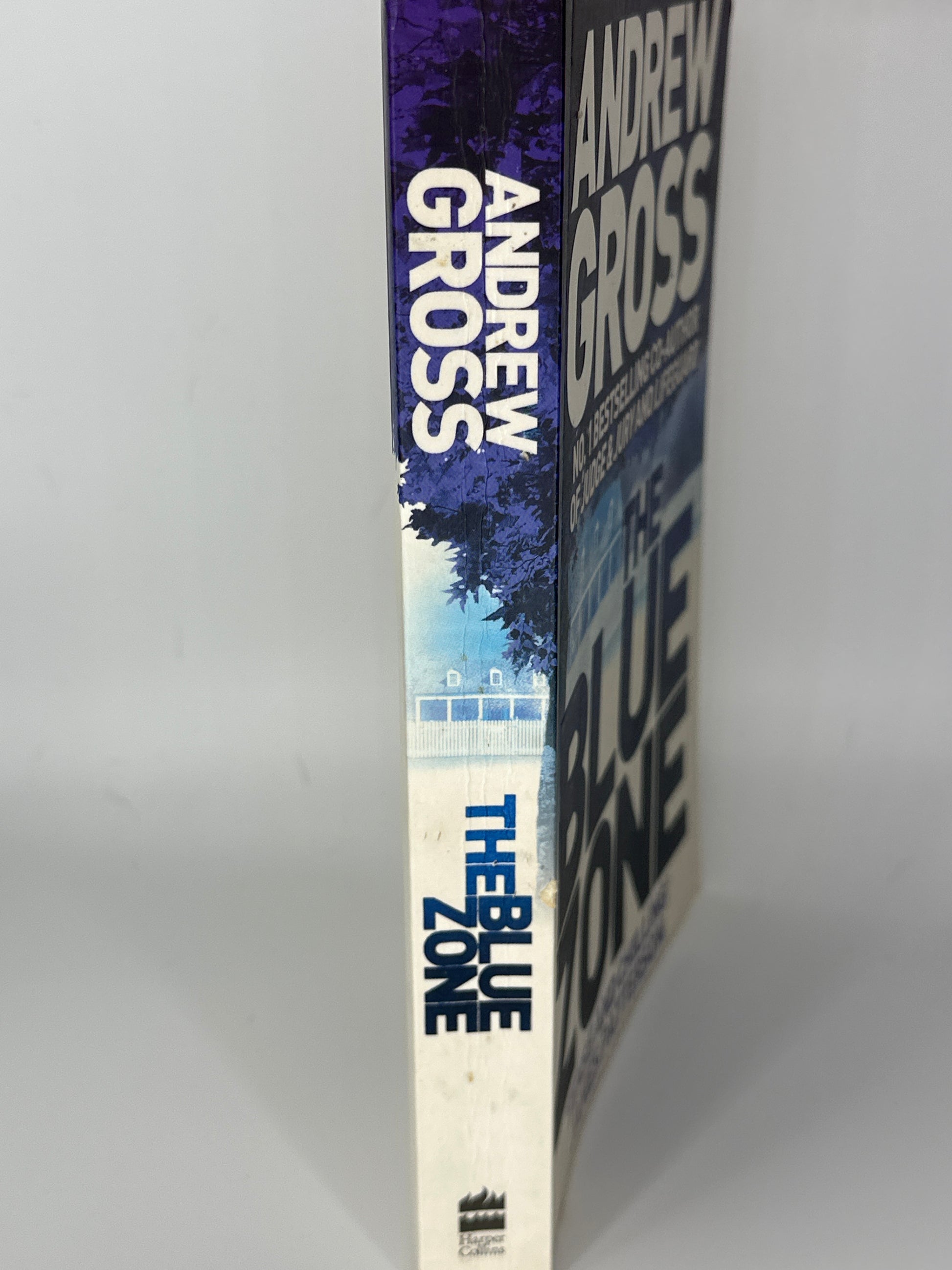 The Blue Zone Andrew Gross spine used books