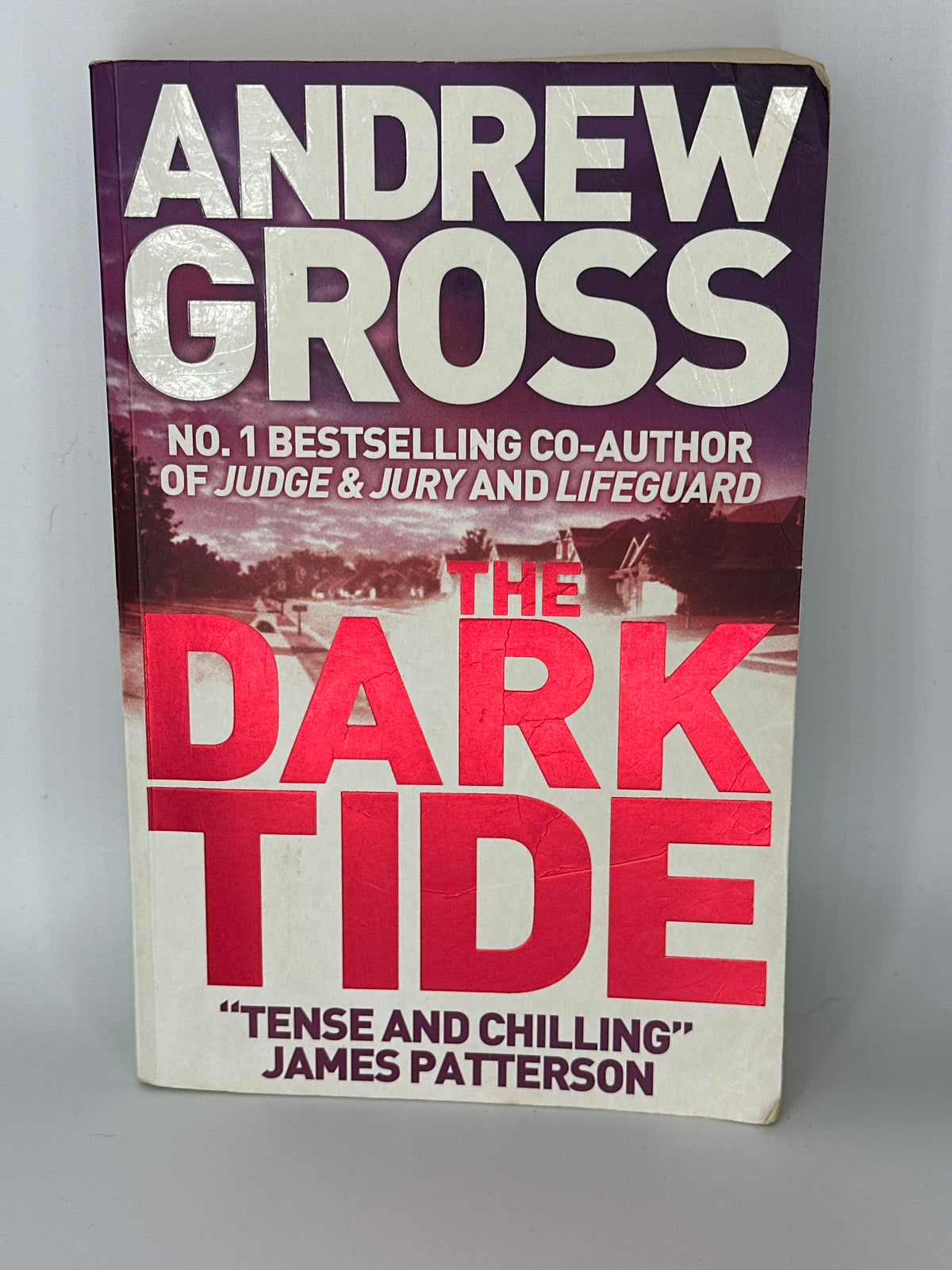 The Dark Side - Andrew Gross-Front Cover - Used Books