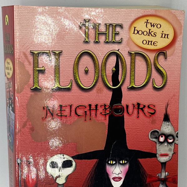 Colin Thompson The Floods Neighbours front cover used books