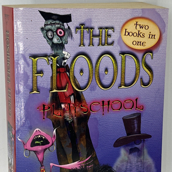 Colin Thompson The Floods Playschool front cover used books