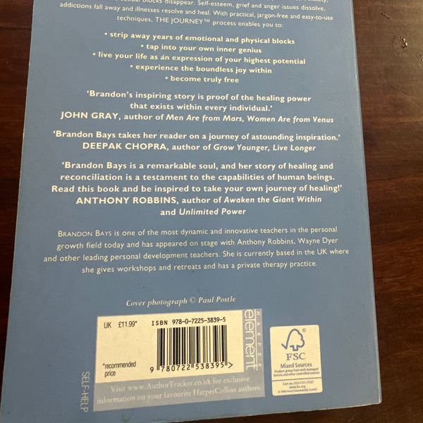 The Journey by Brandon Bays back cover