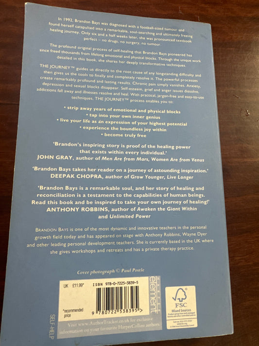 The Journey by Brandon Bays back cover