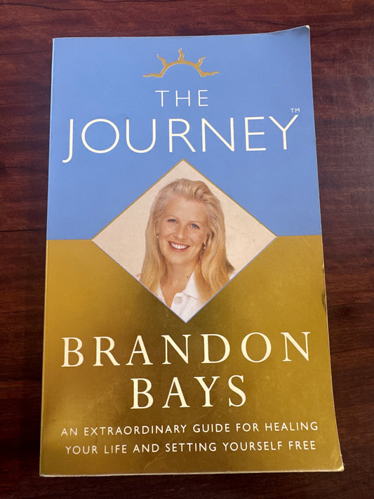 Book titled 'The Journey' by Brandon Bays on a wooden surface