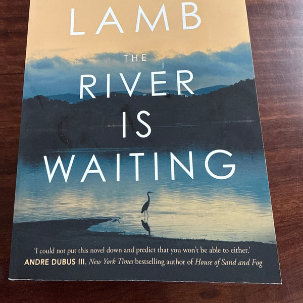 Wally Lamb The River Is Waiting cover
