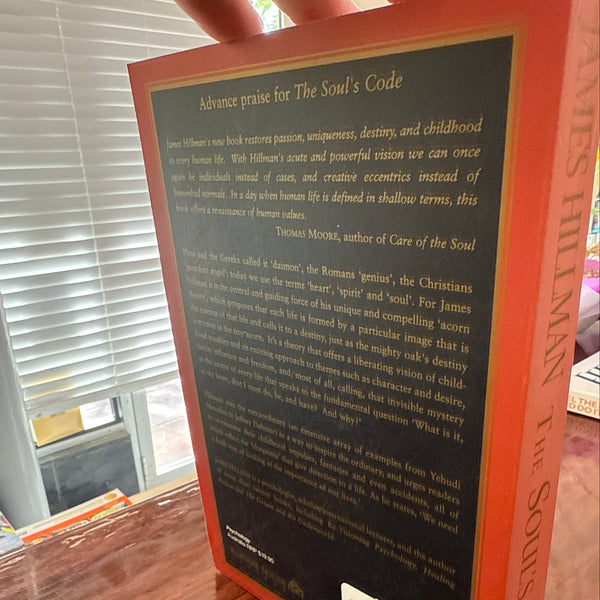 The Soul's Code back cover