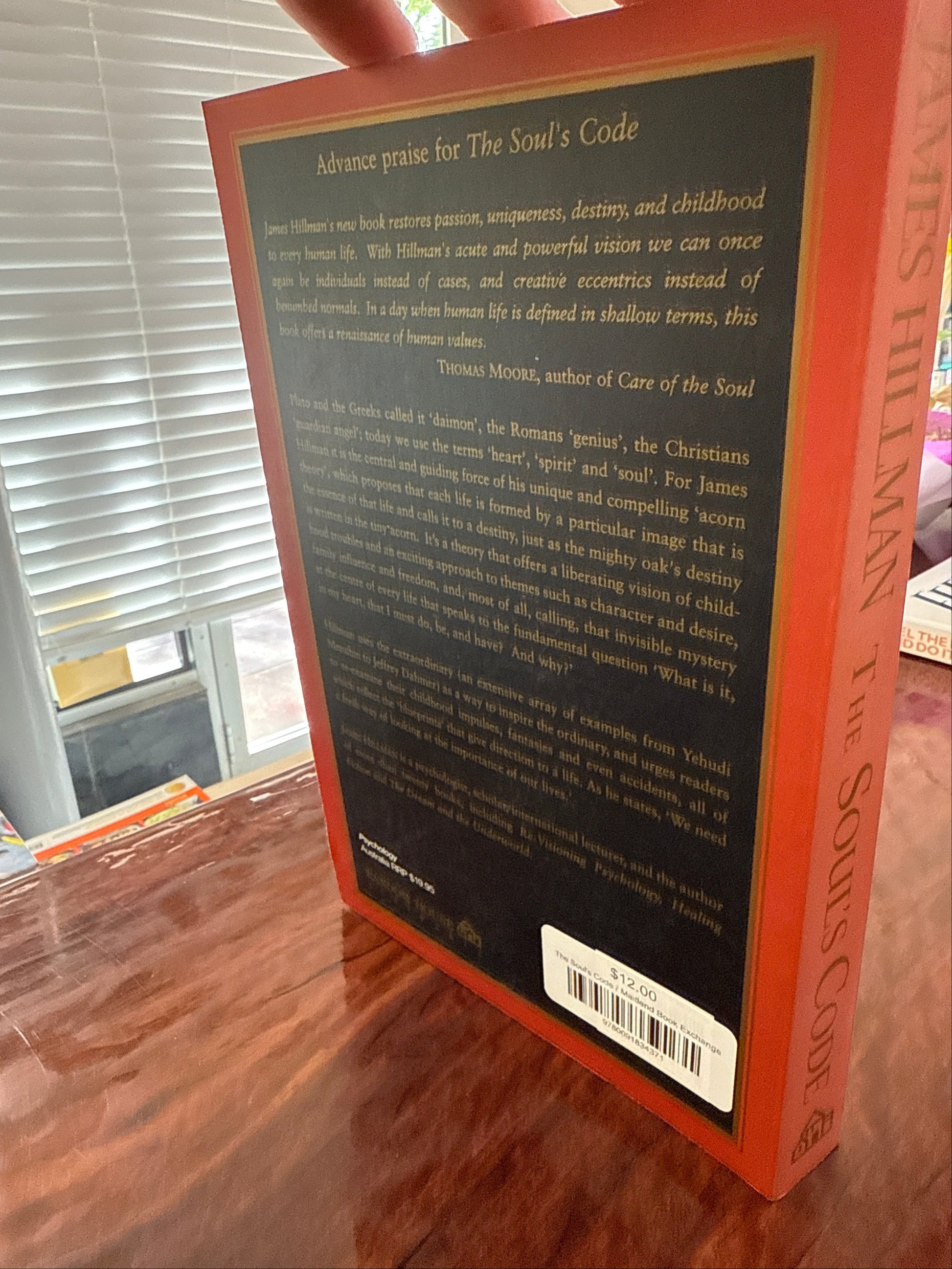 The Soul's Code back cover