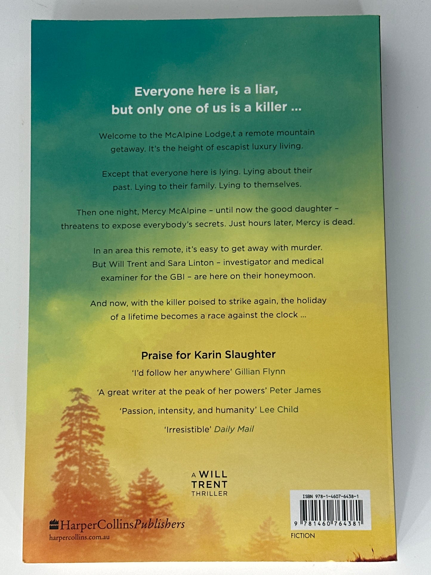 Karin Slaughter This is Why We Lied back cover image