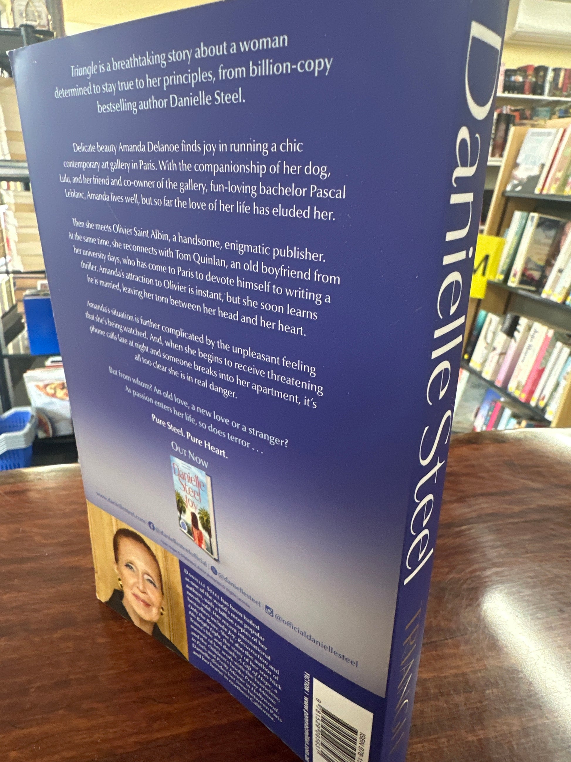 Danielle Steel Triangle back Cover