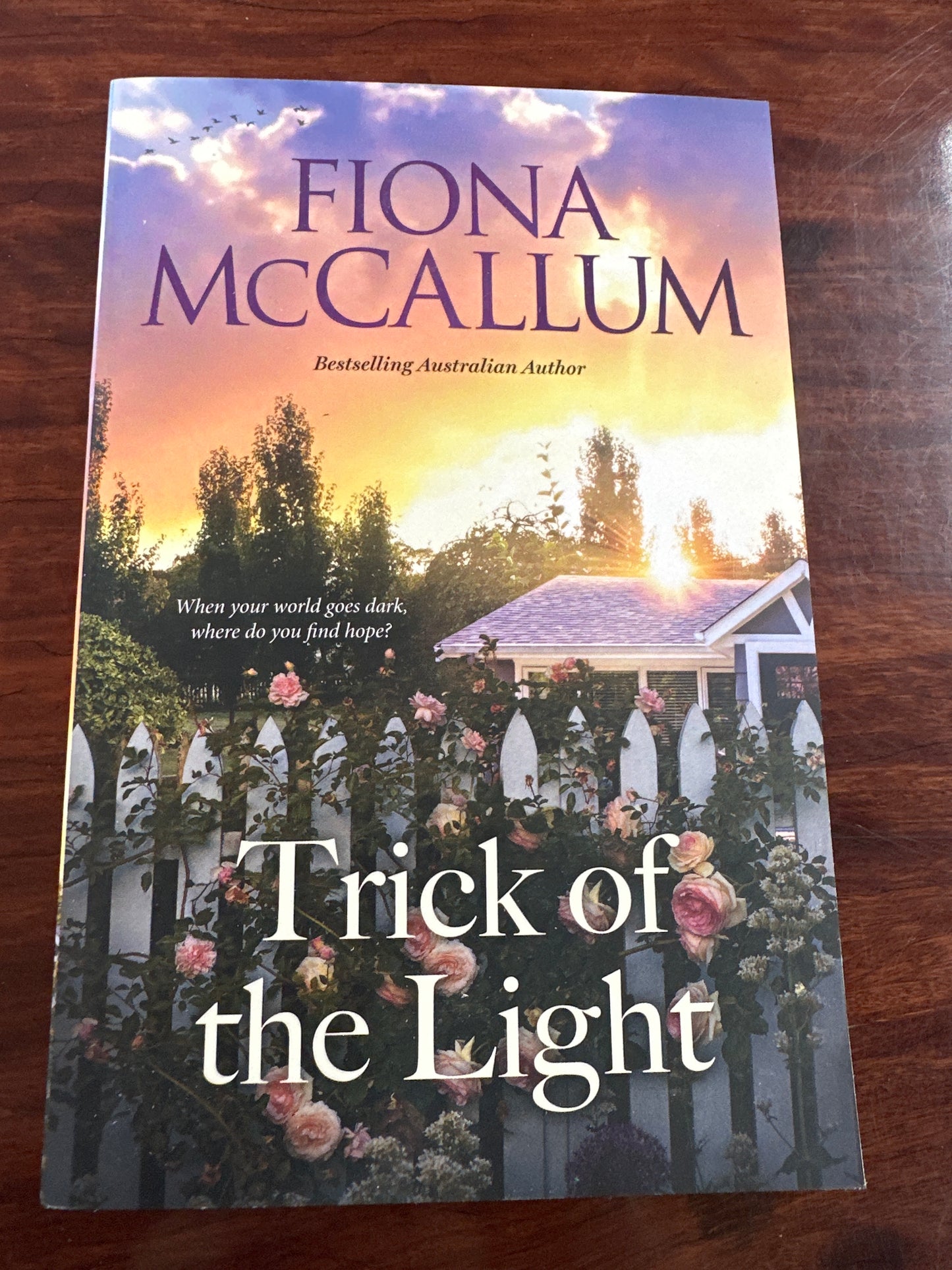 Fiona McCallum Trick of the Light cover